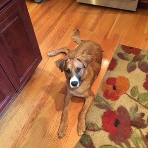 Meet your Posher, Cheryl